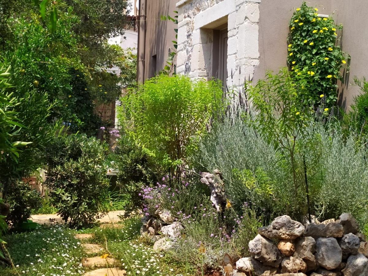 Olive Lemon Biophilic House & Lush Forest Garden Vámos Exterior foto