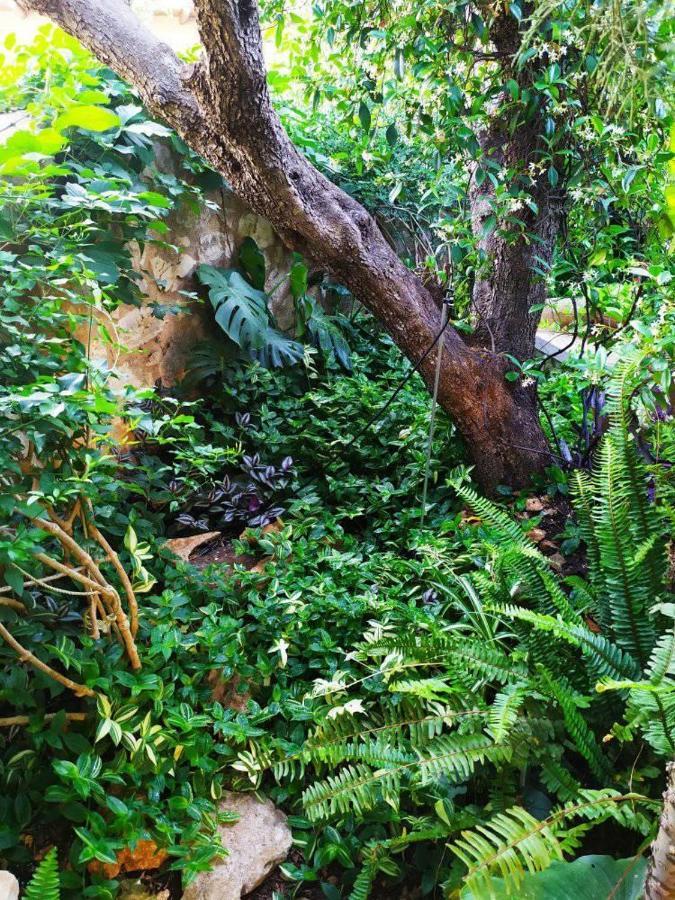Olive Lemon Biophilic House & Lush Forest Garden Vámos Exterior foto