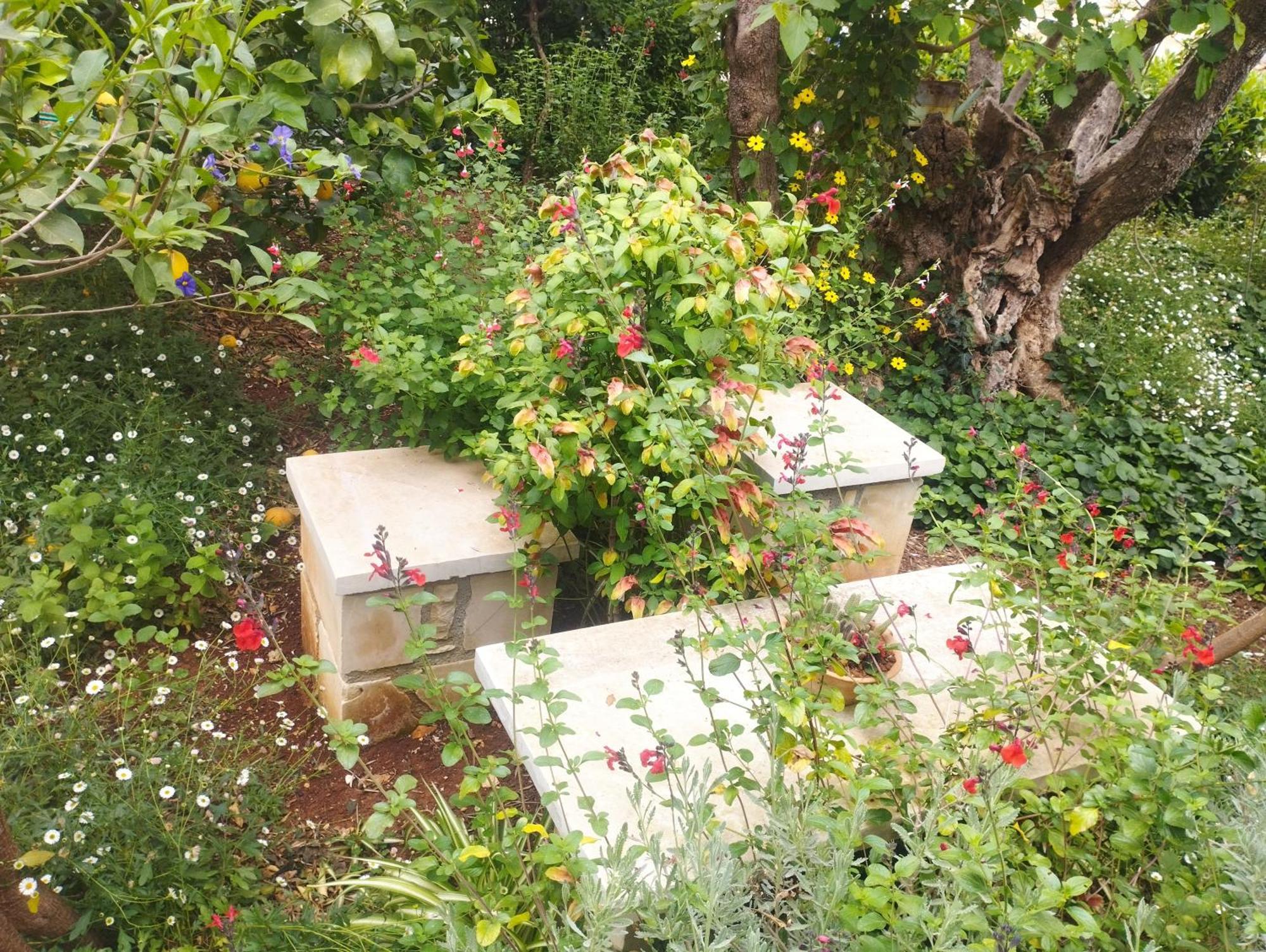 Olive Lemon Biophilic House & Lush Forest Garden Vámos Exterior foto