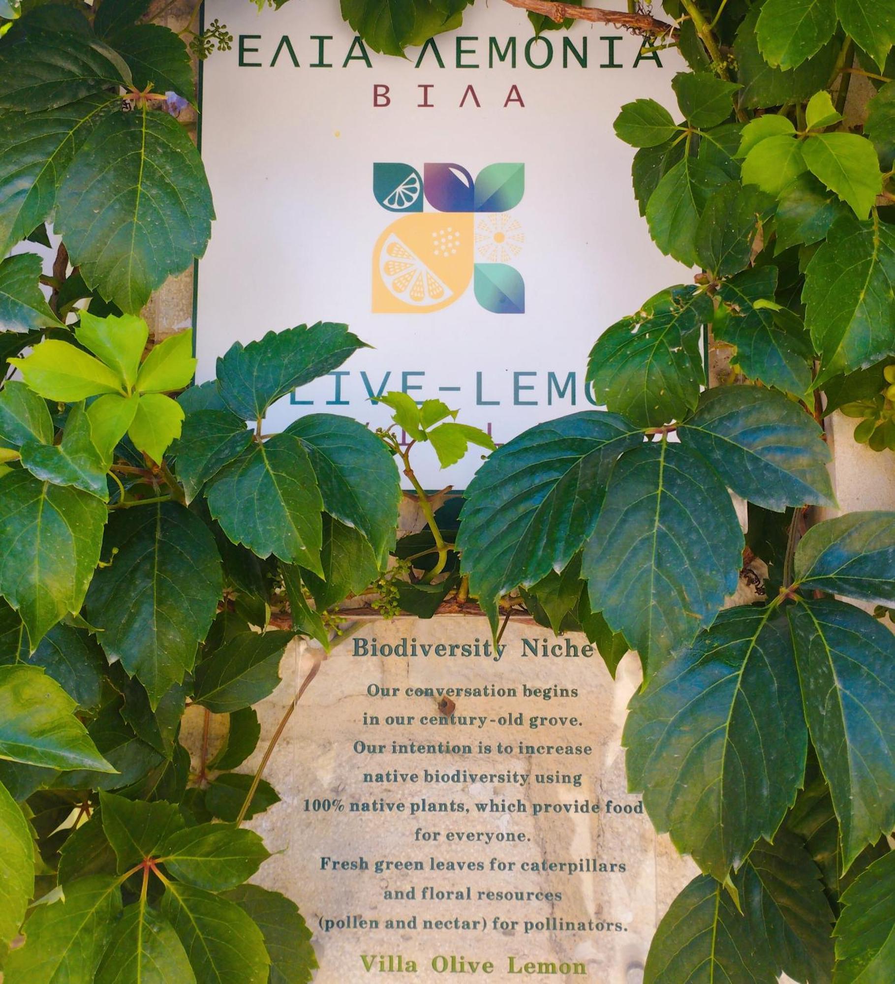 Olive Lemon Biophilic House & Lush Forest Garden Vámos Quarto foto